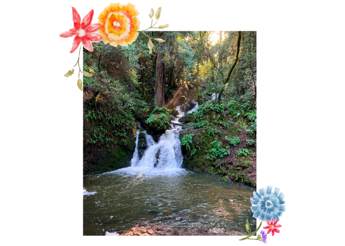 A waterfalls in a forest at the Cataract Trail