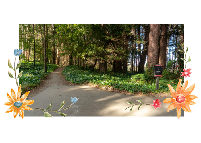 A trail splits into two paths at Presidio Loop