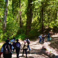 Cohort Walk at Peter's Creek