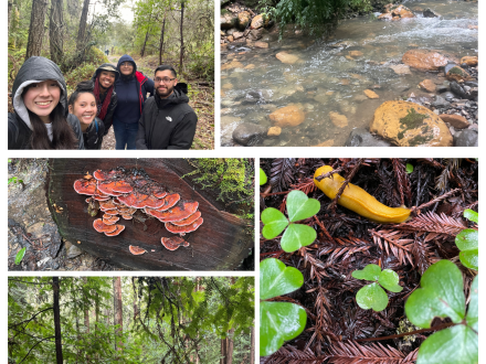 five different pictures of nature sites with people