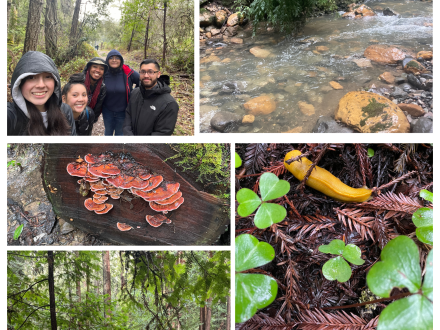 five different pictures of nature sites with people 